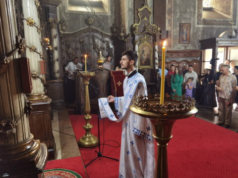 IMG_20230707_103410_resize