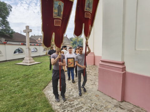 IMG_20230707_110214_resize