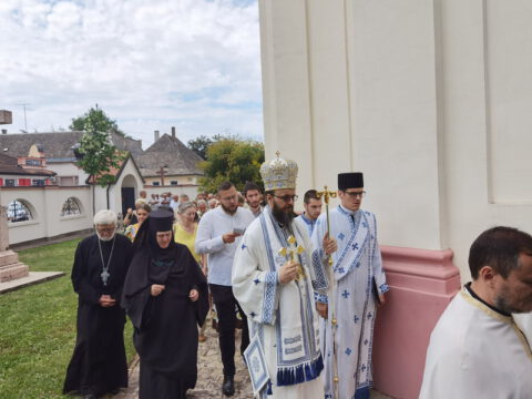 IMG_20230707_110231_resize