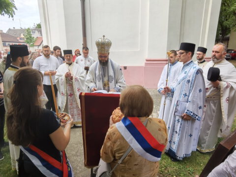 IMG_20230707_110316_resize