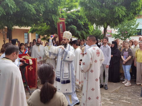 IMG_20230707_110658_resize