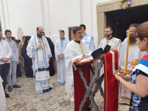 IMG_20230707_111029_resize