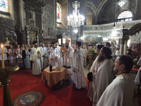 IMG_20230707_113206_resize