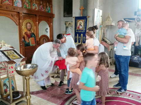 IMG_20230712_100016_resize