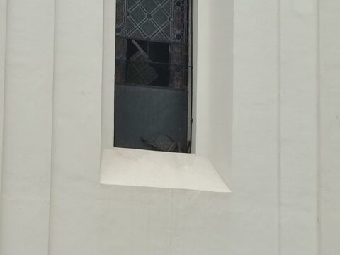 IMG_20230720_064607_resize