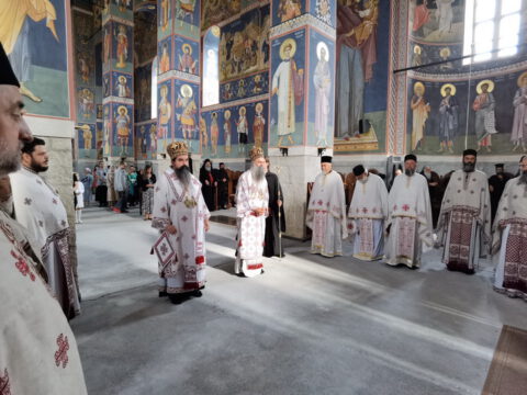 IMG_20230726_074848_resize