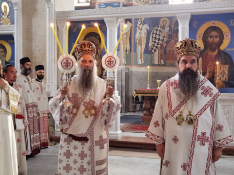 IMG_20230726_074921_resize