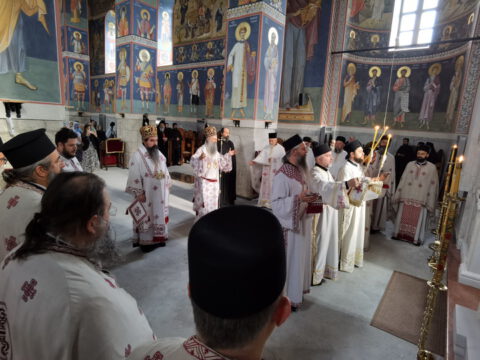 IMG_20230726_075001_resize