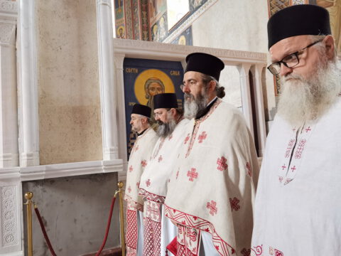 IMG_20230726_075409_resize