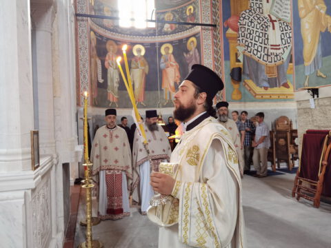 IMG_20230726_080008_resize