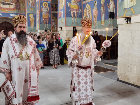 IMG_20230726_080956_resize