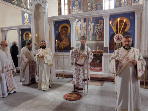 IMG_20230726_081126_resize