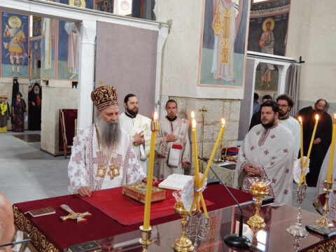 IMG_20230726_081257_resize