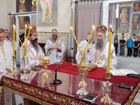 IMG_20230726_081316_resize