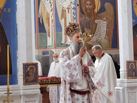 IMG_20230726_081618_resize