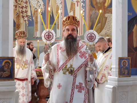 IMG_20230726_082412_resize