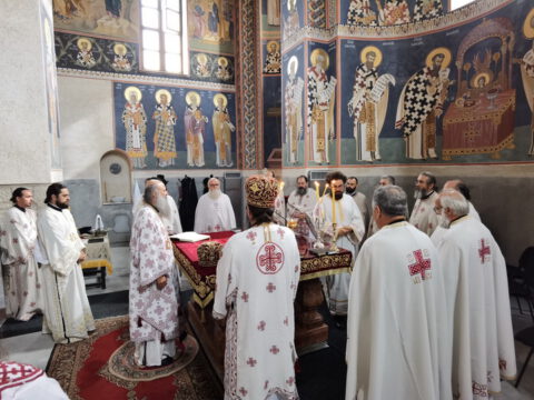 IMG_20230726_084226_resize