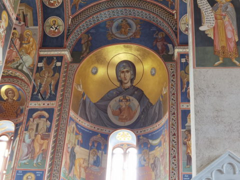 IMG_20230726_090807_resize