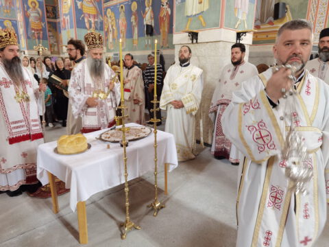 IMG_20230726_094317_resize