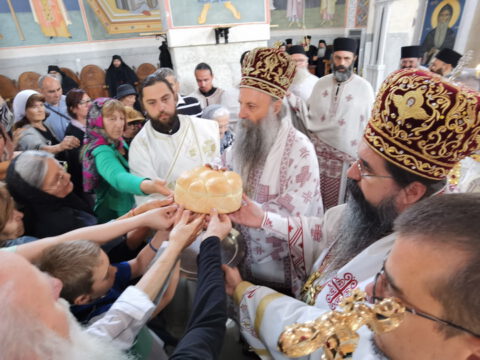 IMG_20230726_094659_resize