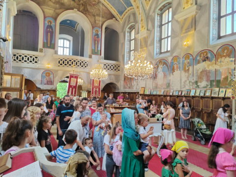 viber_image_2023-07-07_11-37-26-644_resize