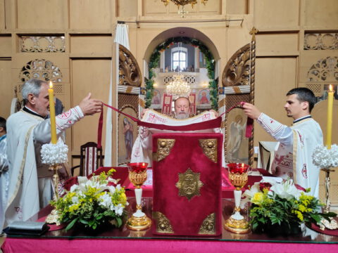 viber_image_2023-07-07_11-38-00-315_resize