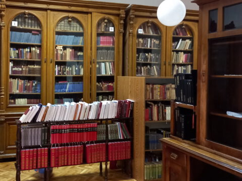 20230815_182950_resize