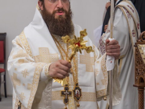 48162-2_resize_resize