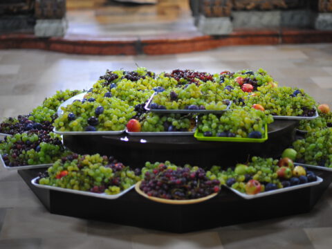 DSC_3158_resize