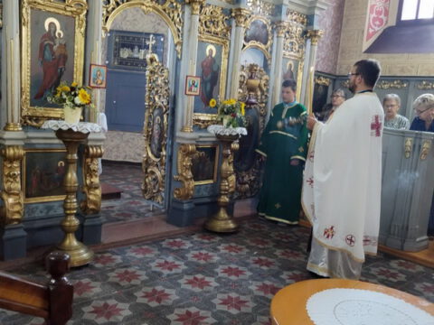 IMG-56ecf9480a4c52f57c914bfd139981e1-V_resize