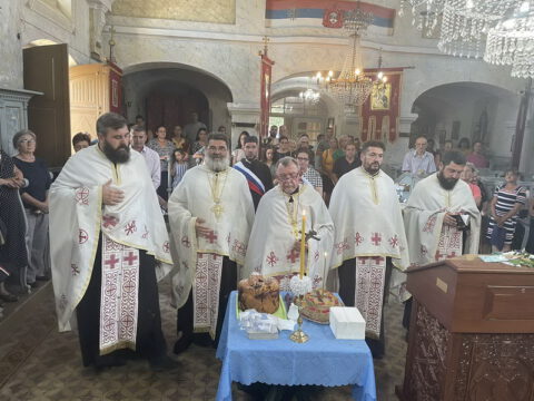 IMG-58a6f406a8088dc89bf5df8d531fd12f-V_resize