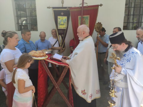 IMG-730c0b426f302bf7ce63e24c7cd459ad-V_resize