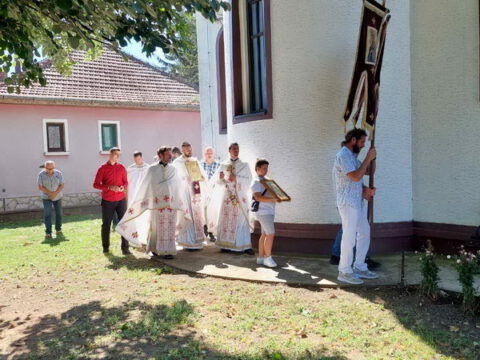 IMG-8da9809760a7a06893de6aaee3e27788-V_resize