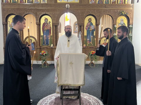 IMG-c4b774531233bbcc3fc7f191be257d74-V_resize