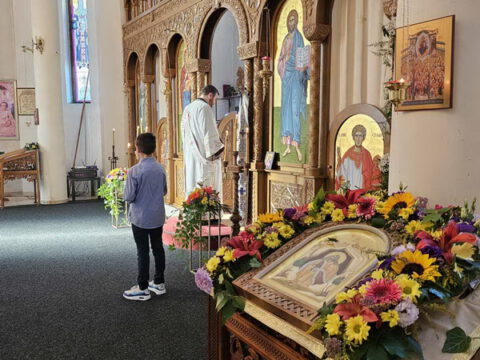 IMG-c5e825706de6ff6dfdc3ff008fc02e32-V_resize