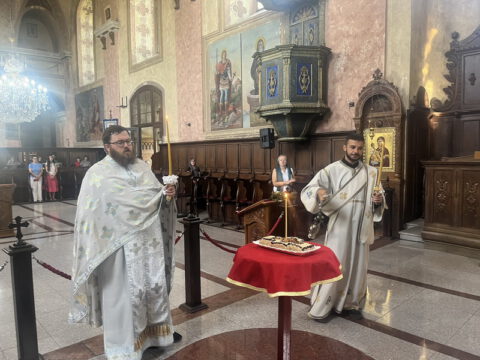 IMG-e6c6485620ef765afc8b6e70e22d1b40-V_resize