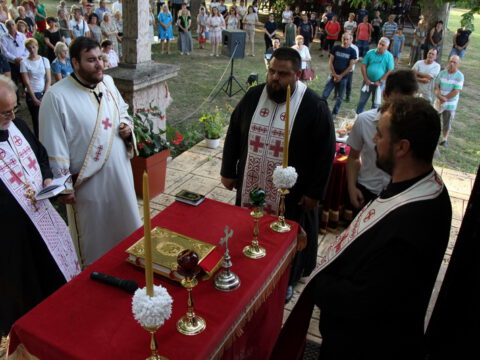 IMG_0352_resize_resize