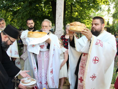 IMG_0416_resize_resize