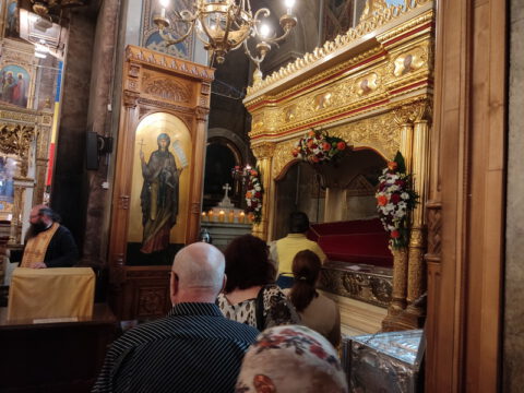 IMG_20230730_093618_resize