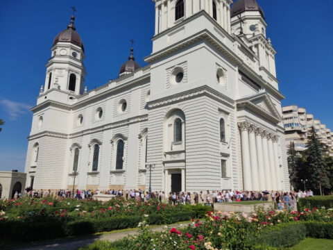 IMG_20230730_094516_resize