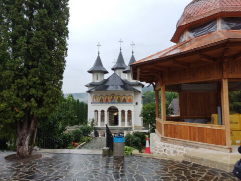 IMG_20230731_075131_resize