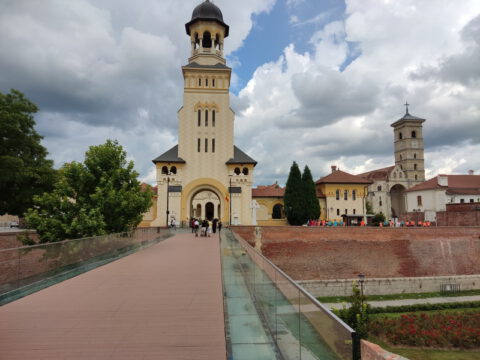 IMG_20230731_170337_resize