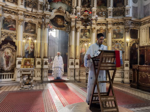 IMG_20230804_083409_resize