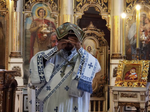 IMG_20230804_084518_resize