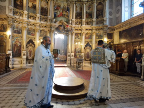 IMG_20230804_084524_resize