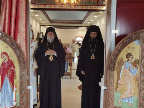 IMG_20230806_082537_resize