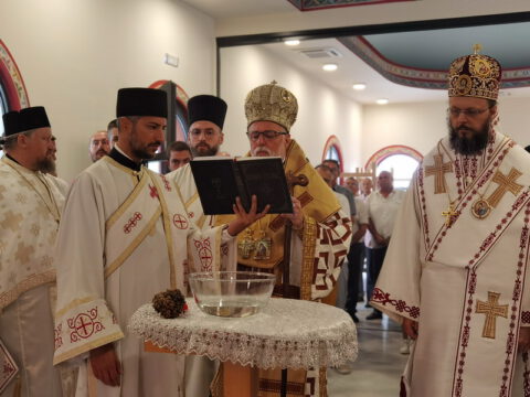 IMG_20230806_083542_resize