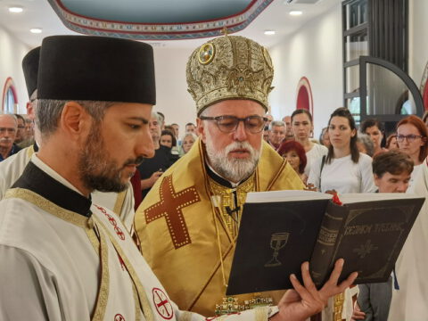 IMG_20230806_083607_resize