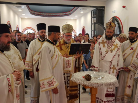 IMG_20230806_083647_resize