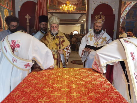 IMG_20230806_083950_resize